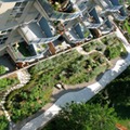 Arcadia Housing Co-operative Green Roof